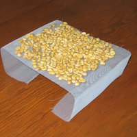 Five weeks later, they were quite dry and light, but yellowish rather than the expected green and larger than most coffee beans