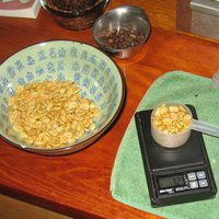 Since the beans were so large and light, we decided to use weight rather than volume to measure the amount we'd roast � turned out that, by weight, the entire 2010 crop would make one pot of coffee