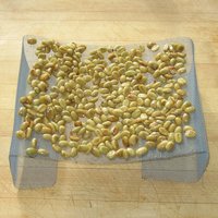 Washed them once more and then spread them out to dry on a screen, sitting on our dining table where they received a fair amount of sun