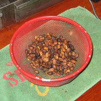 ...it didn't really roast � it sort of scorched on the outside and didn't roast on the inside.  It never made it to first crack, and we decided to end the roast before we set off the smoke detector