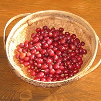 Here it is � the entire 2010 coffee harvest