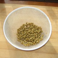 I separated the beans and washed off as much of the pulp as I could