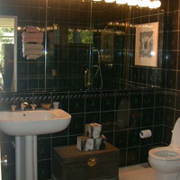 The back bath, off of Vi's studio (ex-master BR). Kinda wild, with black marbly tile everywhere including the ceiling. You can see the shower in the reflection, all glass. You get to see yourself from all angles in the shower, not such a great idea as we get older.  Oops - forgot to close the lid.