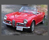 2004-2009 � 1961 Alfa Romeo Giulietta Spider 2000 � The styling and nimble handling of earlier Alfas melded with the power and drivability of later ones.  Has a two-liter engine, 5-speed, disk brakes, etc. from a '76 Spider.  "The car that Alfa should have made".  This car ain't for purists, but, well, I ain't a purist.  You can check out the eventful Road Trip in April of 2004 during which we brought her back from Portland, Oregon. But, alas, the engine threw a rod � time to move on!