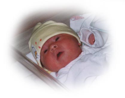 title.jpg (15551 bytes)