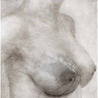 Breast / Self 2 (lenticular image)
