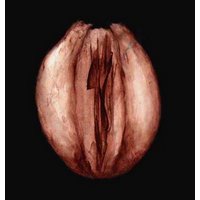 Body / Self 5 (lenticular print)