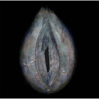 Body / Self 10 (lenticular print)