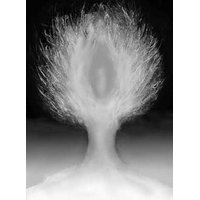 Tree / Self 5 (lenticular print)