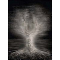 Tree / Self 7 (lenticular print)