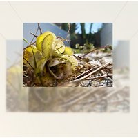 Untitled 11-01 (installation)