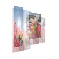 Untitled 11-06 (installation)