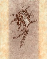 CoMonoprintTruro001ASm