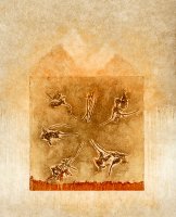 CollagraphMinimalOrange001ASm