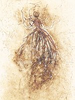 ColloPerenlPrinted1Sm