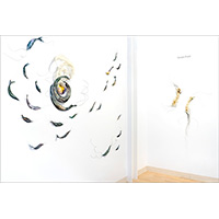 Installation at Bromfield Gallery