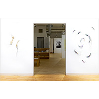 Installation at Bromfield Gallery