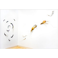 Installation at Bromfield Gallery