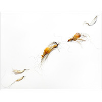 Untitled 1708 (wall installation), 10' wide