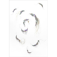 Untitled 1706 (wall installation), 5' wide