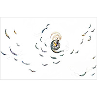 Untitled 1701 (wall installation), 14' wide