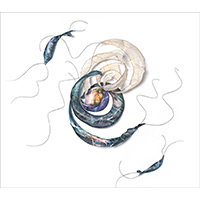 Untitled 1701 (detail of wall installation), 37" x 43" x 7"