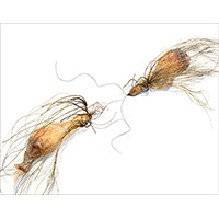 Untitled 1708 (detail of wall installation), 40" x 65" x 7"