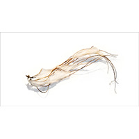 Untitled 1710, 12" x 24" x 6"