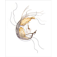 Untitled 1704, 28" x 23" x 4"