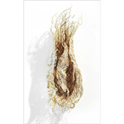 Untitled 2101, 15" x 4" x 3", flax, wire, tarlatan